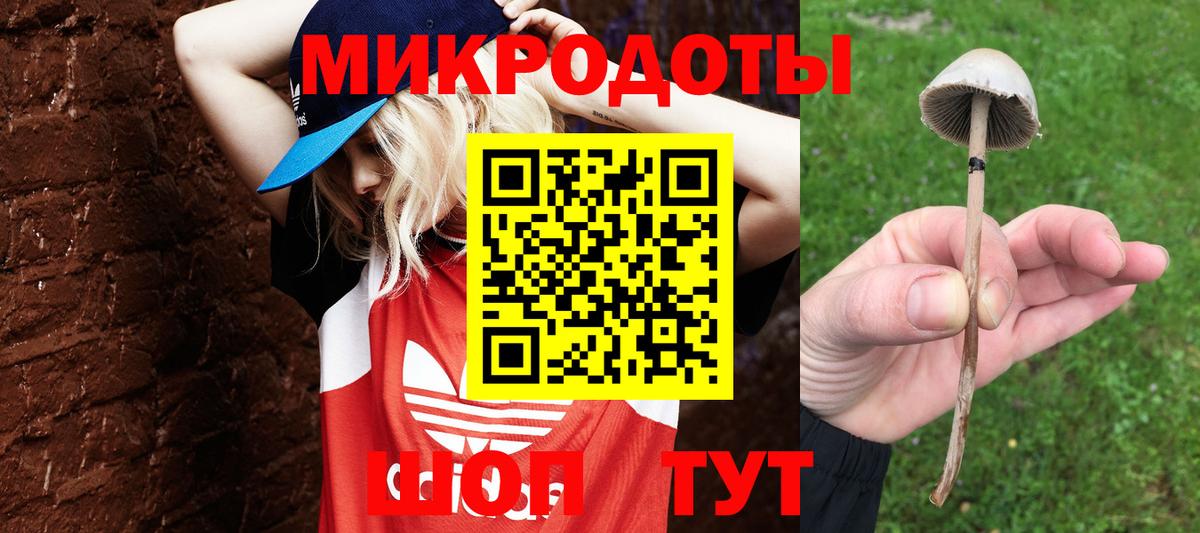 Галлюциногенные грибы Мирный