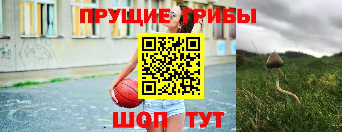 Псилоцибиновые грибы мицелий  Вход с VPN  Мирный 